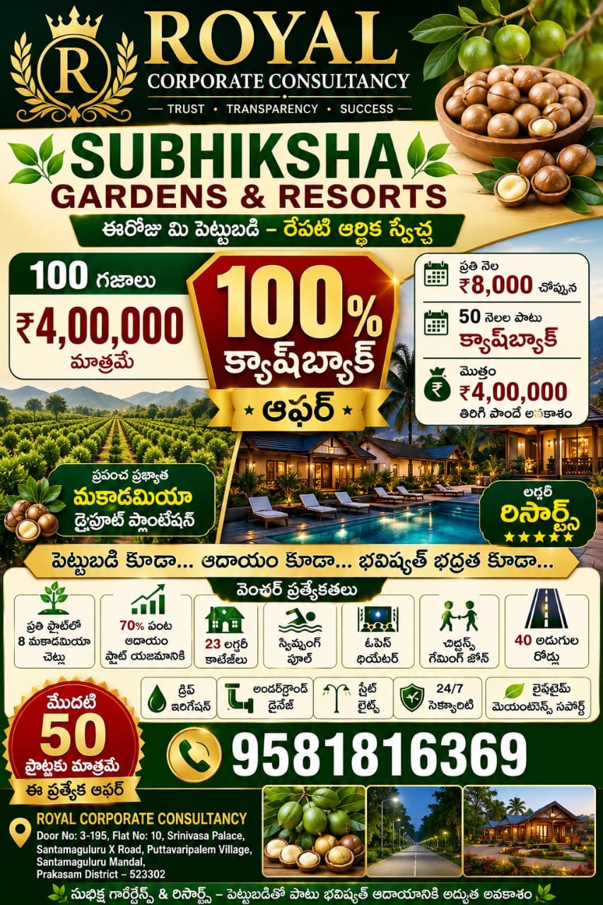 Macadamia Plantation Income Model