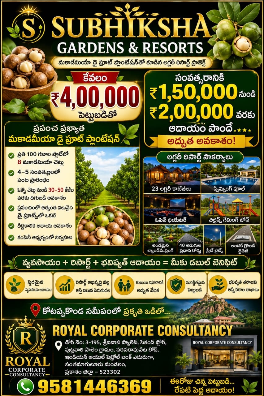 Pricing & Cashback Offer